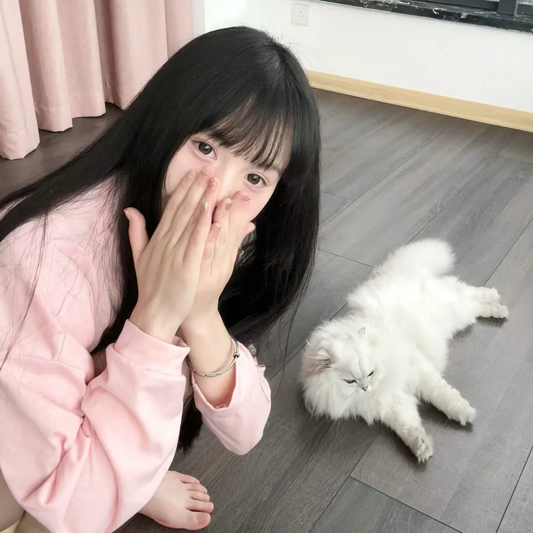 妄想学生会第一季